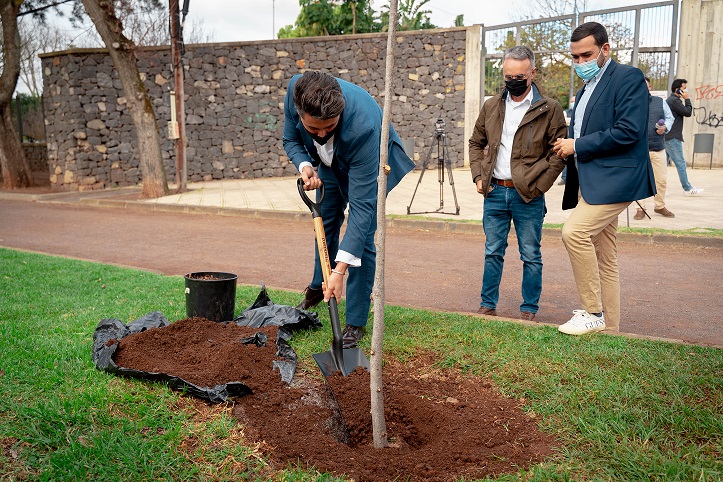 El alcalde de La Laguna, Luis Yeray Gutiérrez -en primer plano-, procede a plantar el árbol en el Camino de Las Peras.