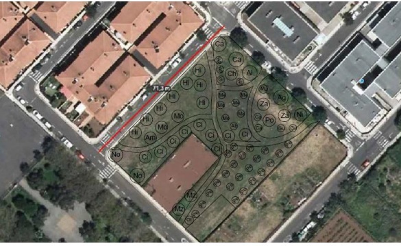 Plano del arboretum previsto.